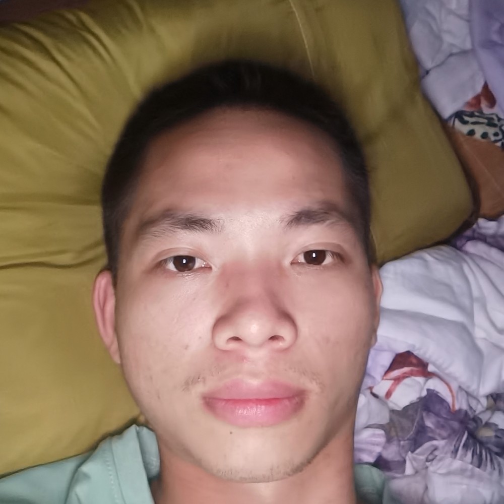 懒猪猪猪的照片