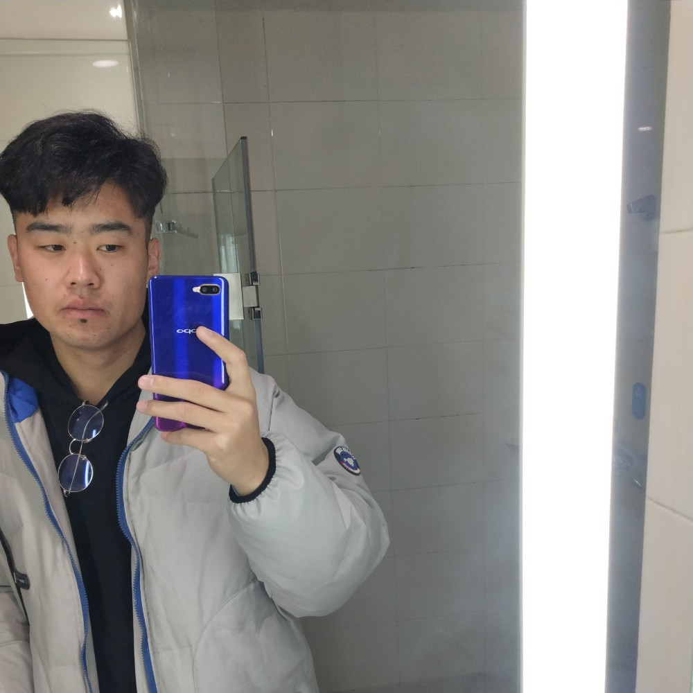 春天蹁跹活力的照片