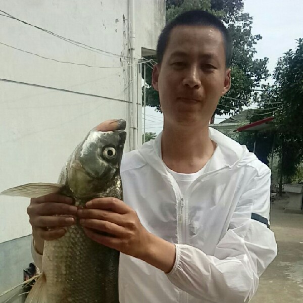 忘忧一个人的照片