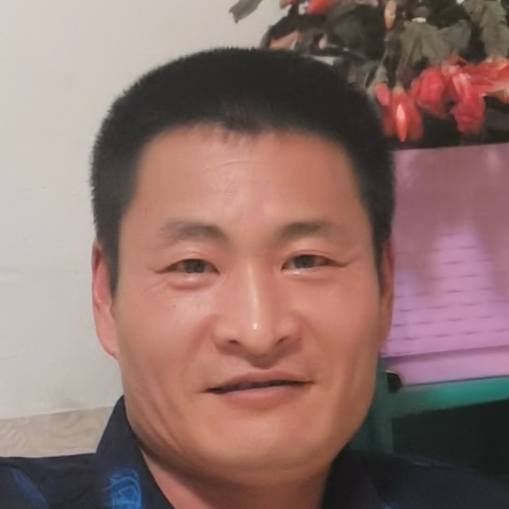 绚烂相许小刺猬的照片