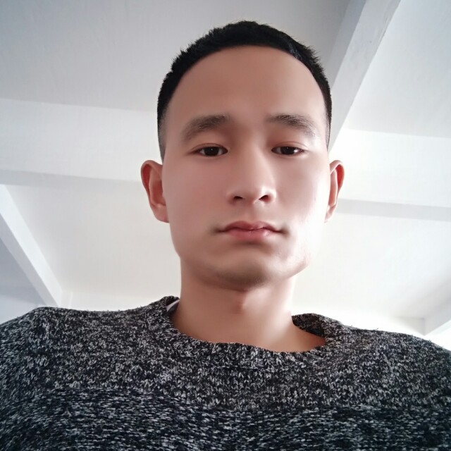 木叶诺顿的照片