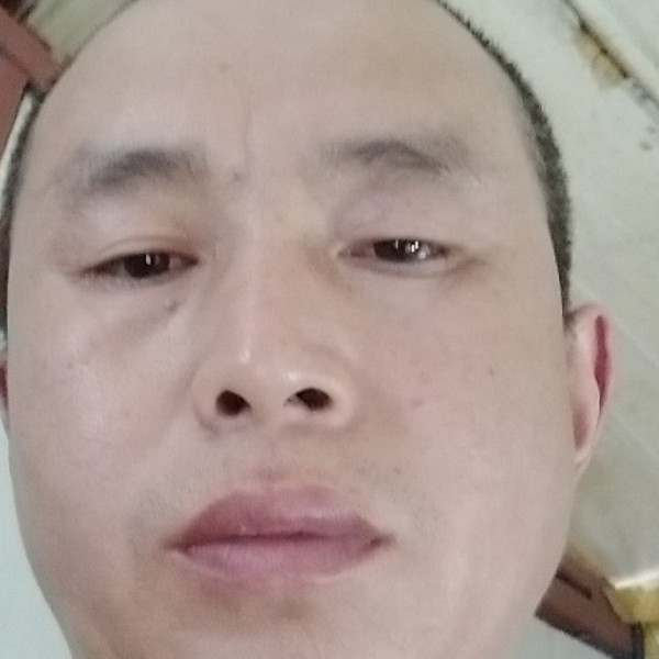 美丽凝眸便当的照片