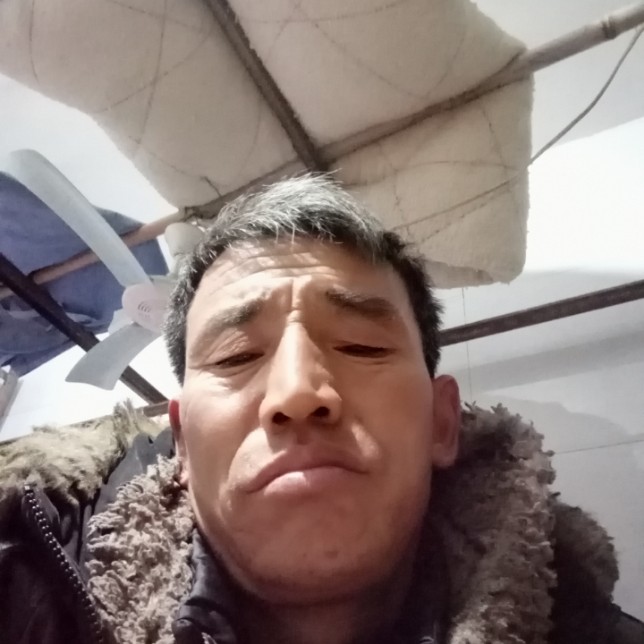 紧张小鸭子的照片