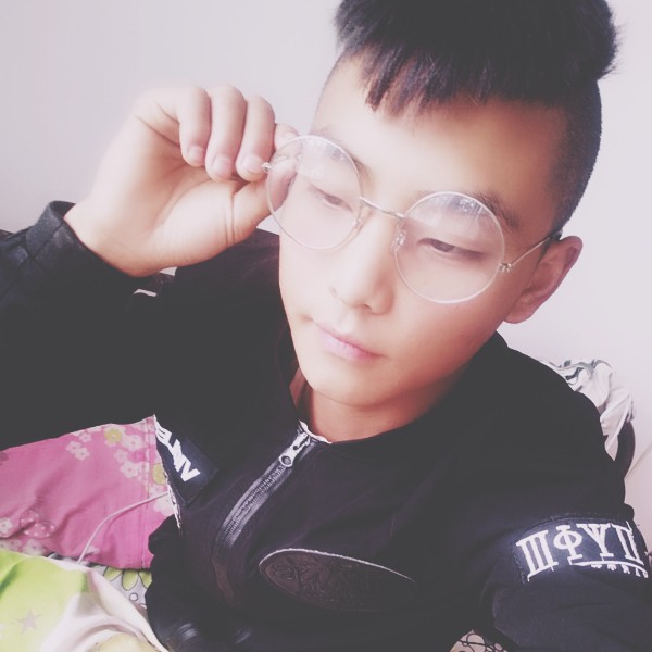 愤怒小鸽子的照片