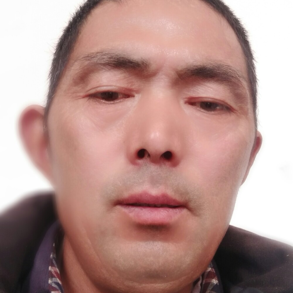 发卡停止甜蜜的照片