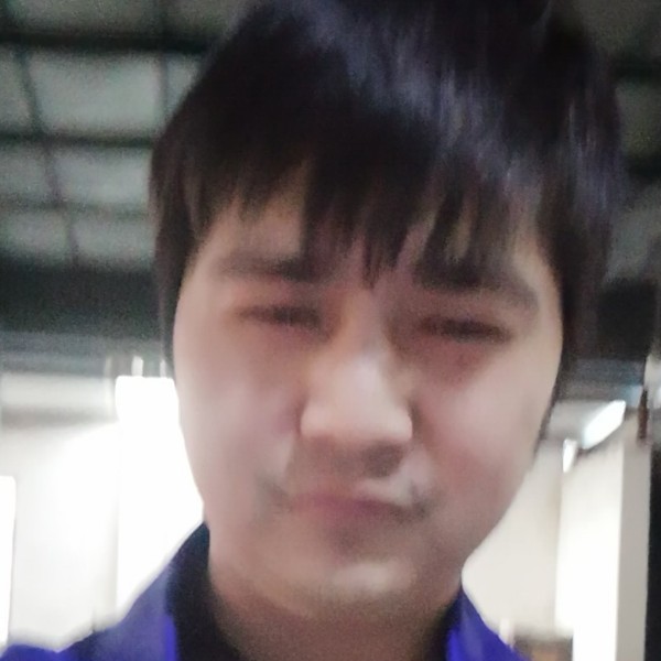 雨中的鱼的照片