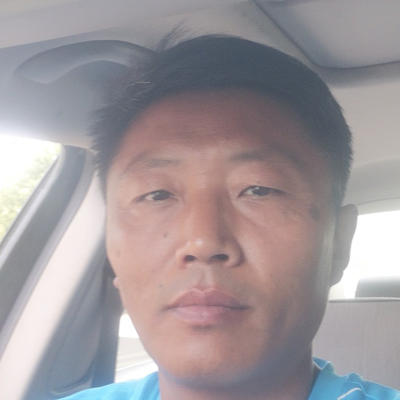 猎豹忧心的照片
