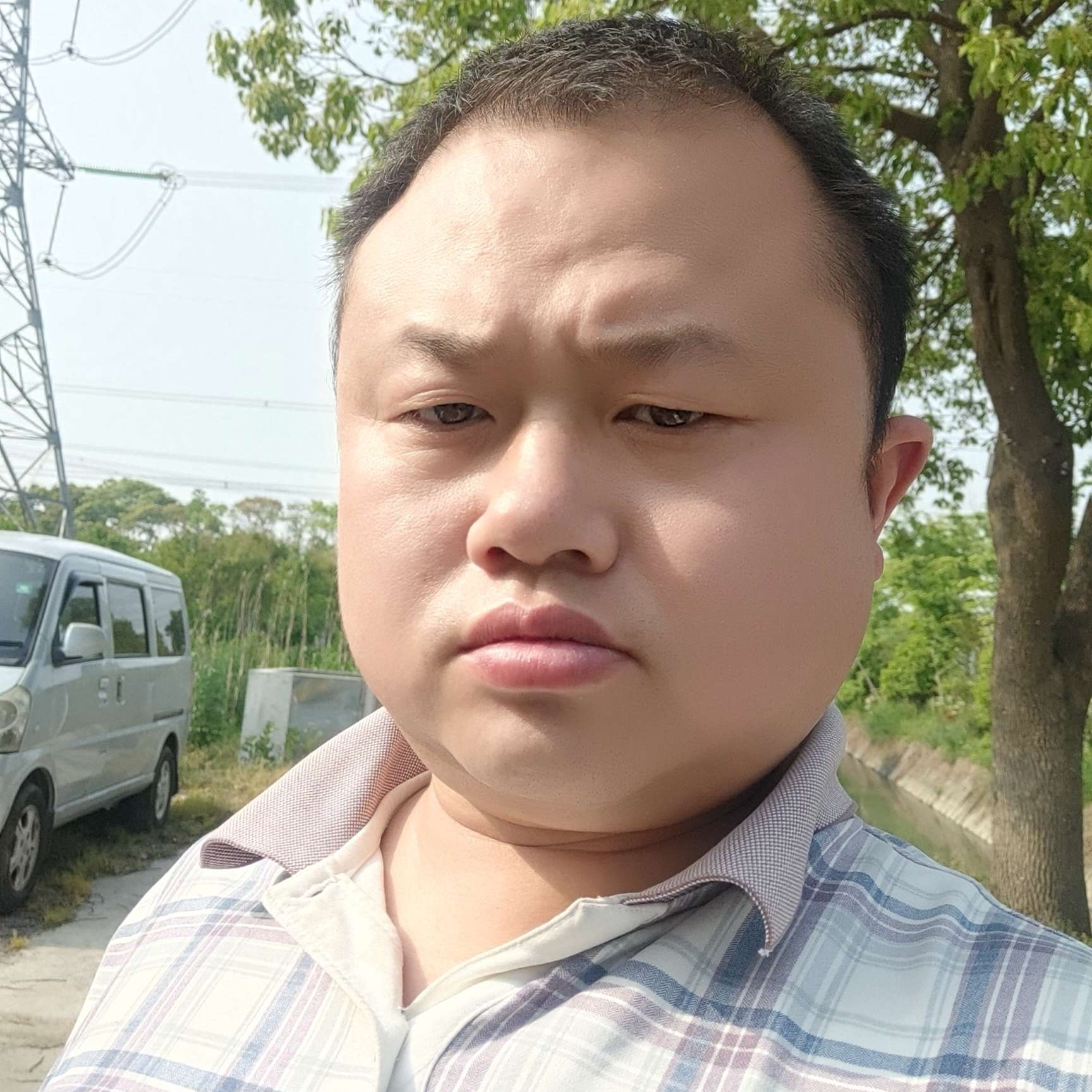 勤劳的山楂的照片