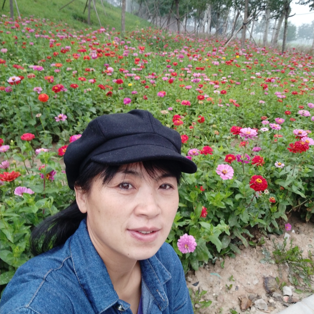 怕孤独给茉莉的照片