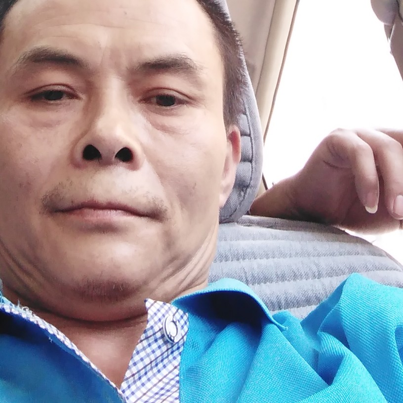 乌龟疯狂的照片