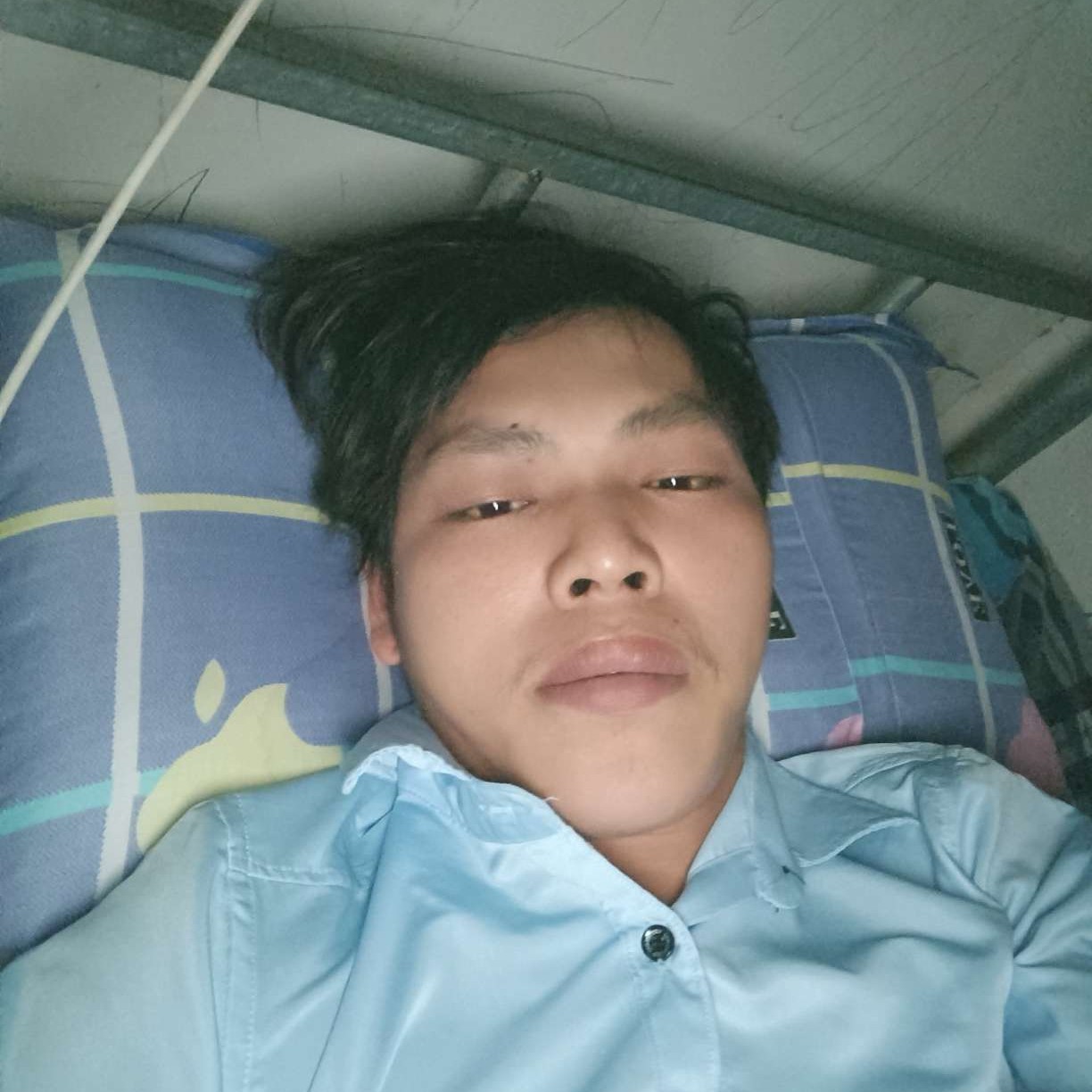 绿茶与文艺的照片