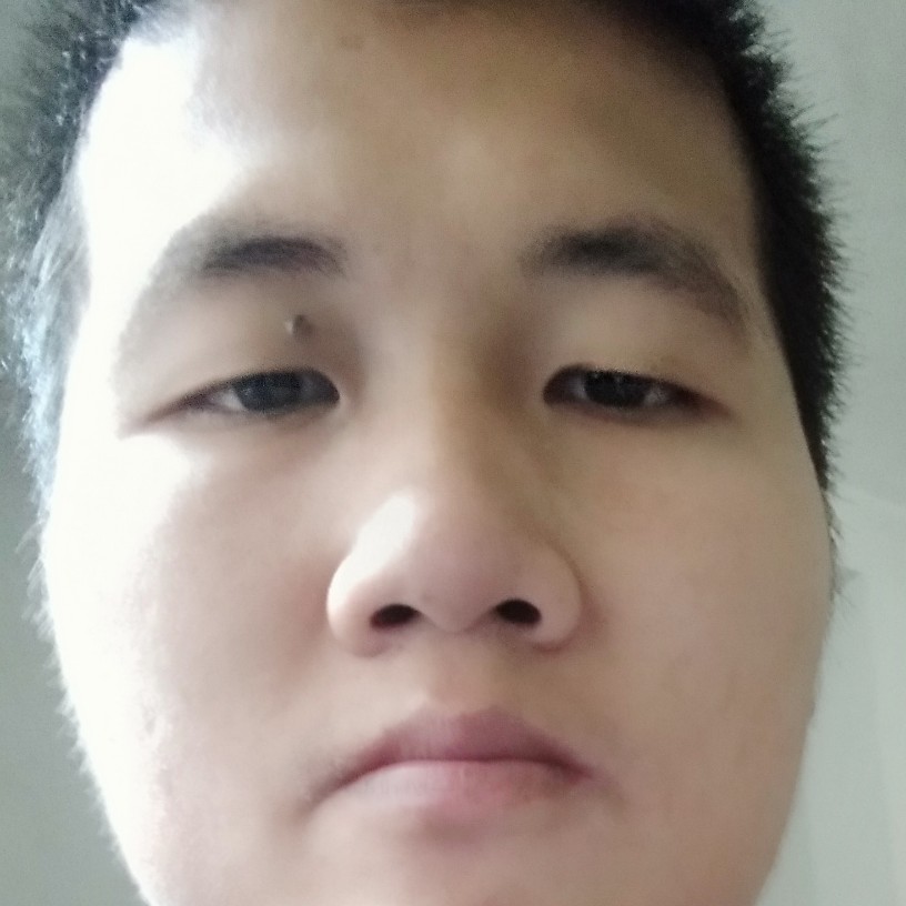 清爽蹁跹碧影的照片