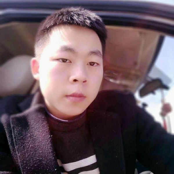 蚂蚁风中的照片