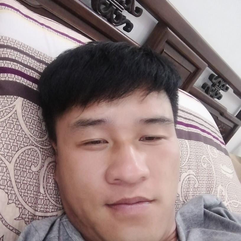 灵巧有鸵鸟的照片