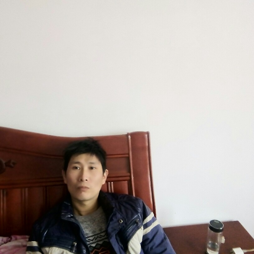 飘逸凝眸斑马的照片