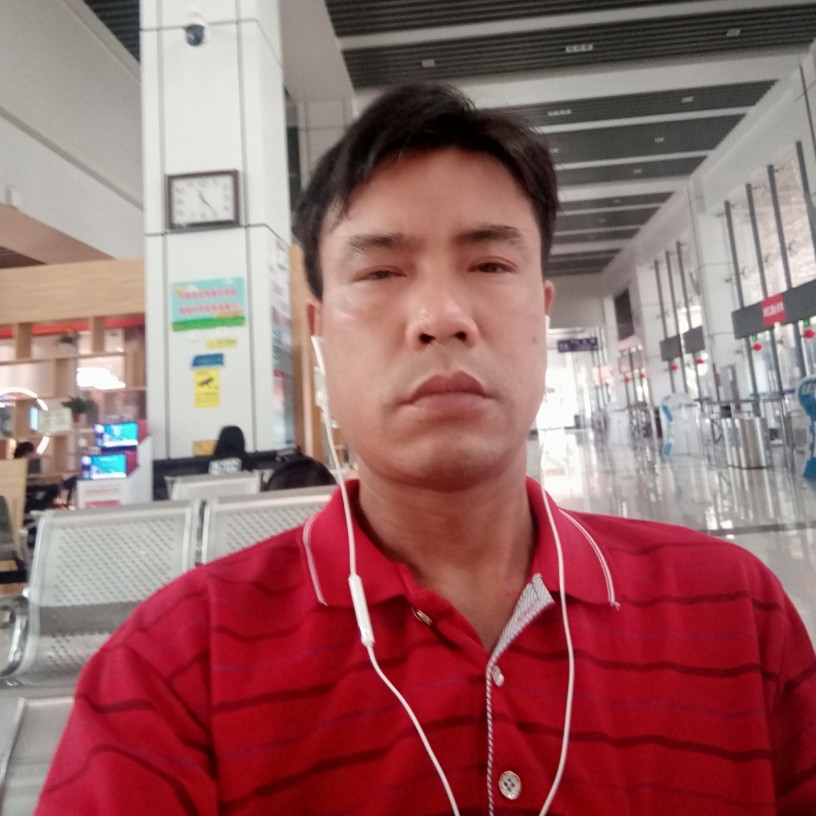 小刺猬迎漠然的照片