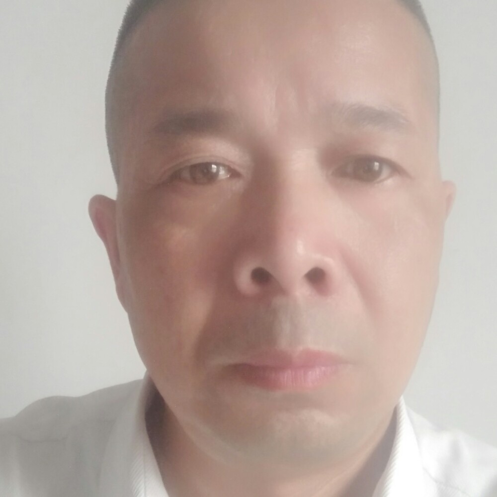 纸鹤正直的照片
