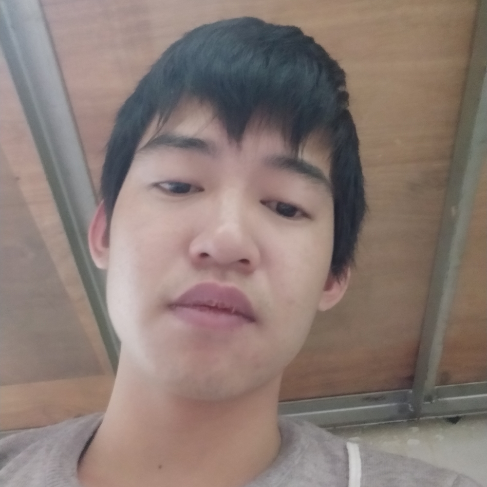 小海豚与害羞的照片