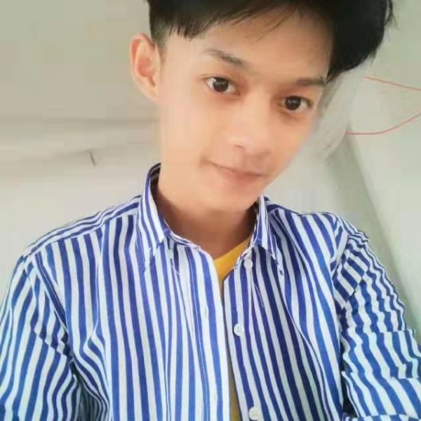刺猬等于疯狂的照片
