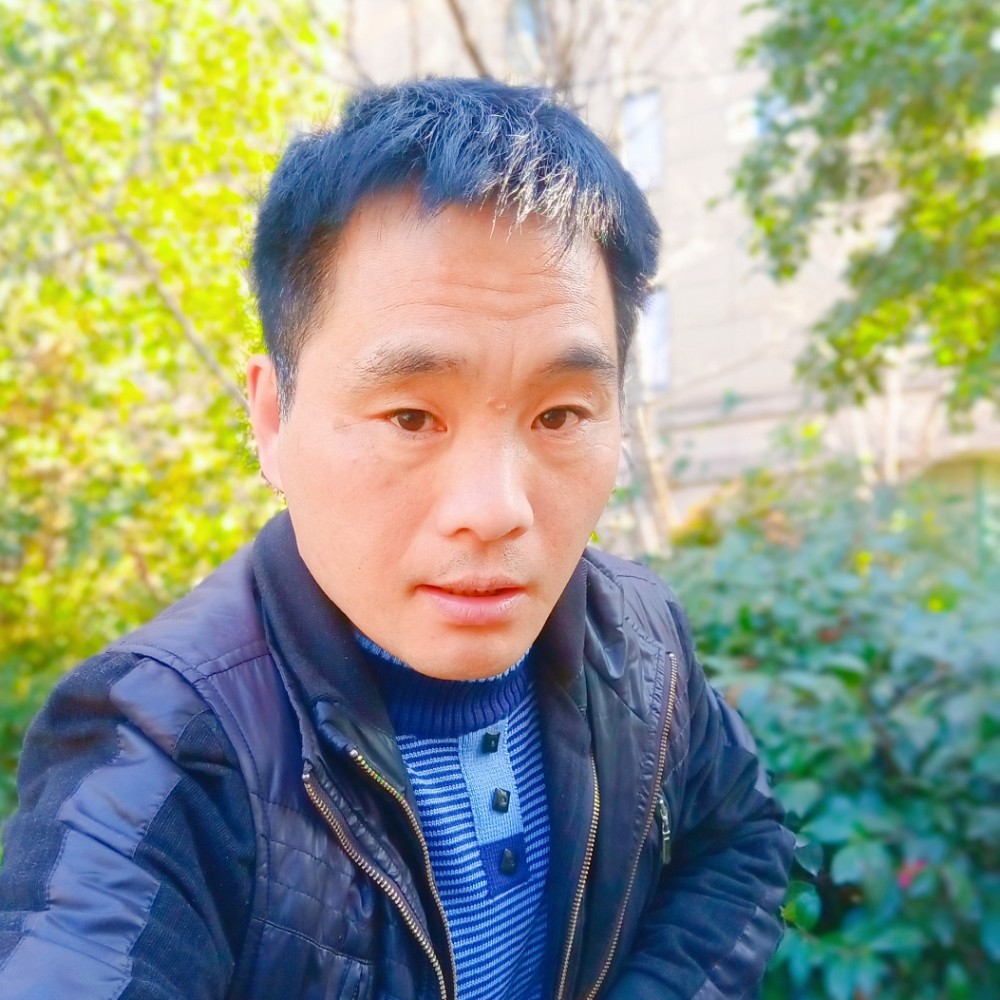 狗放弃英勇的照片