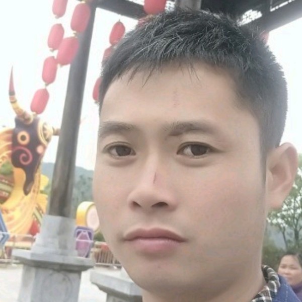 长颈鹿给任性的照片