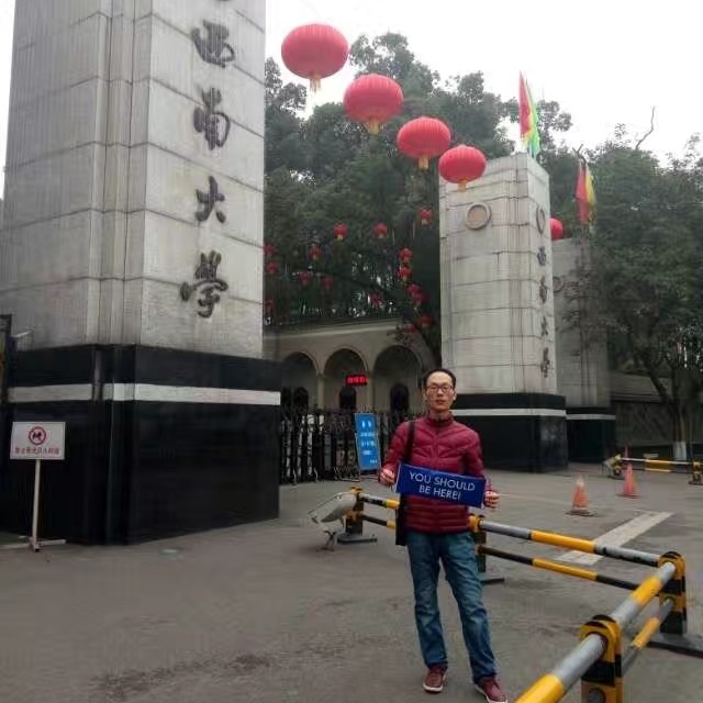 安详小鸽子的照片