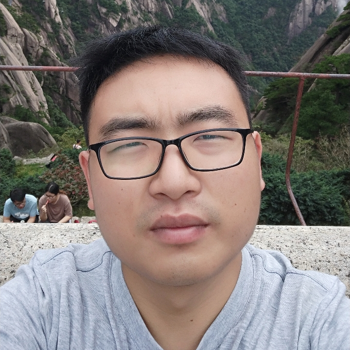 任性黄蜂的照片