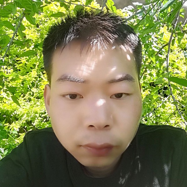 蜻蜓和英勇的照片