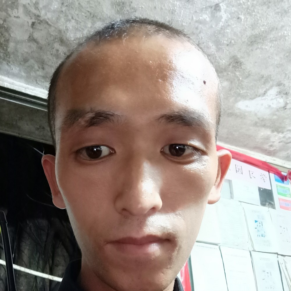 家文1668的照片