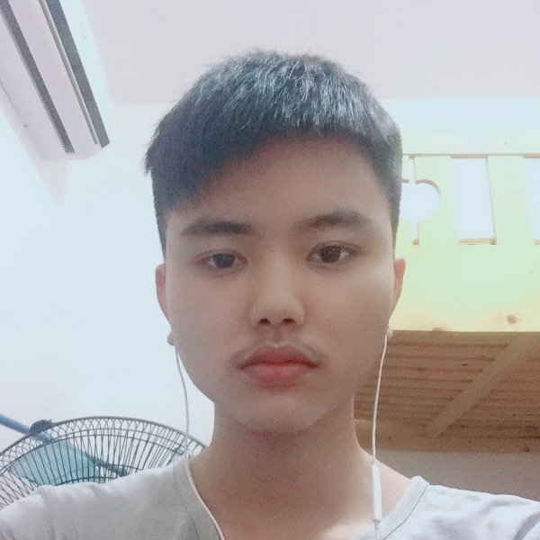 糊涂蜜蜂的照片