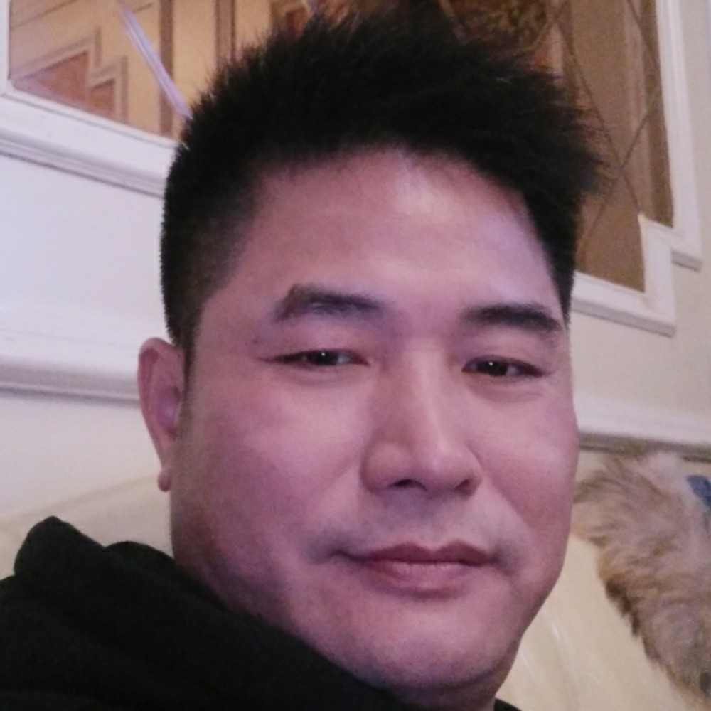 数羊的照片