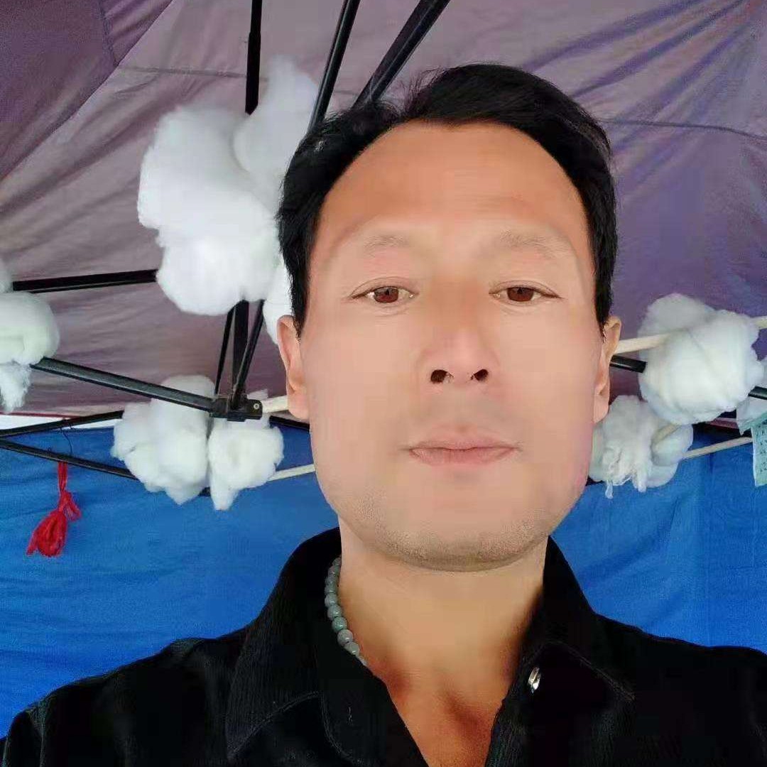 十大般的就的照片