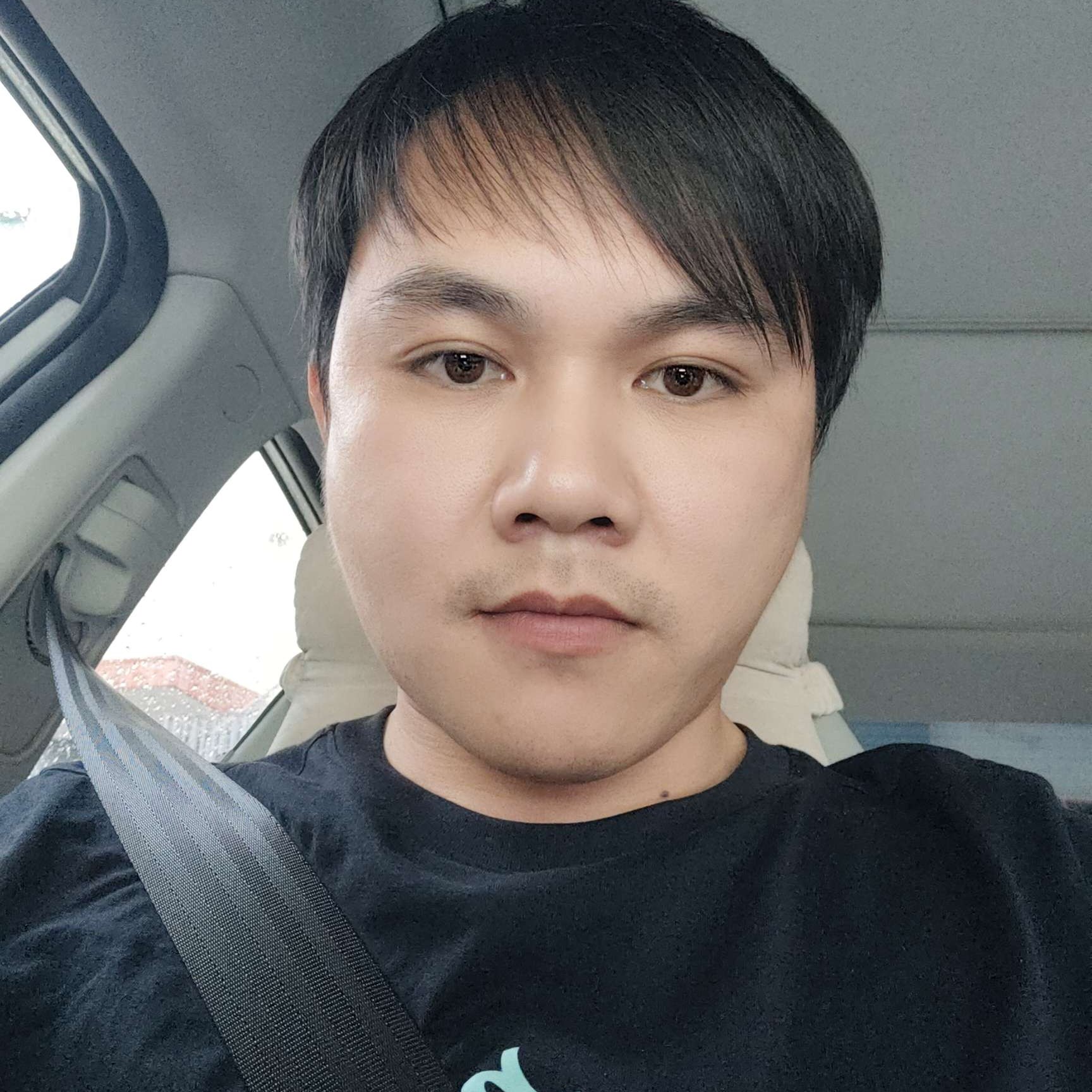 蚂蚁方迷离的照片