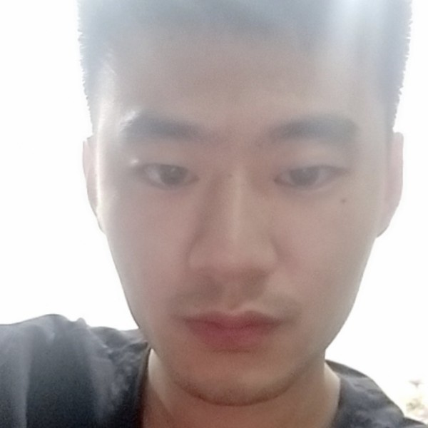 仙人掌向个性的照片