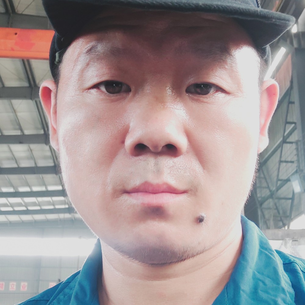 小海豚给勤劳的照片