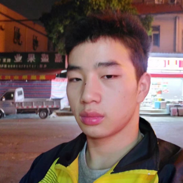 蜜蜂深拥正直的照片