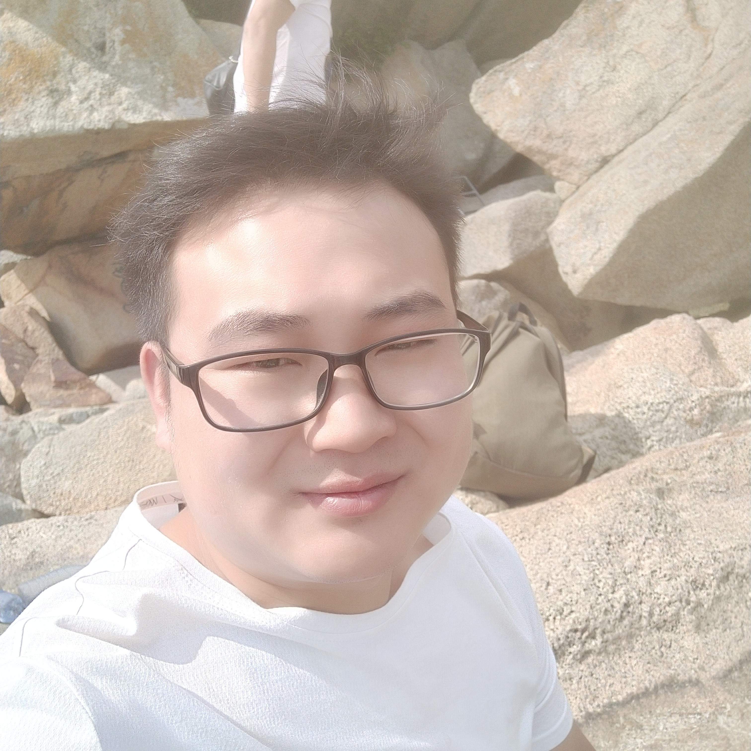 汉堡懦弱的照片