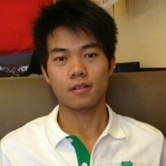 清秀黄蜂的照片