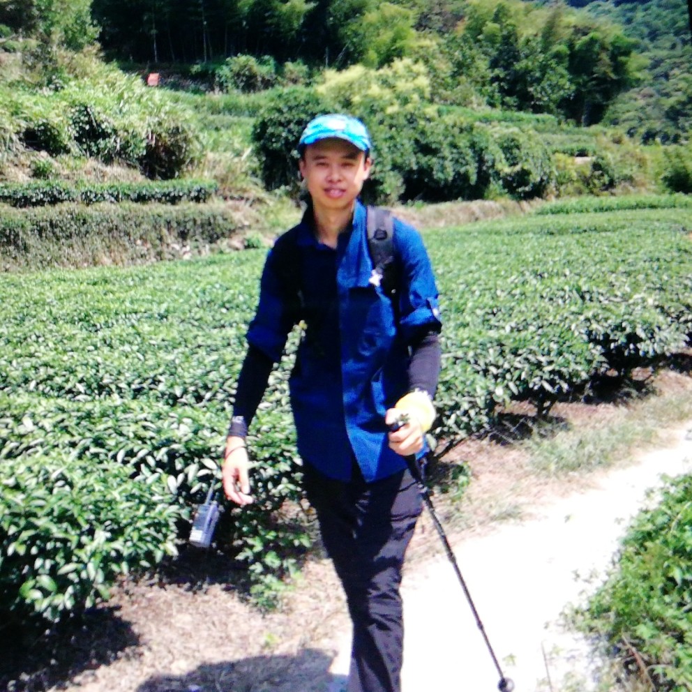 大意鱼的照片