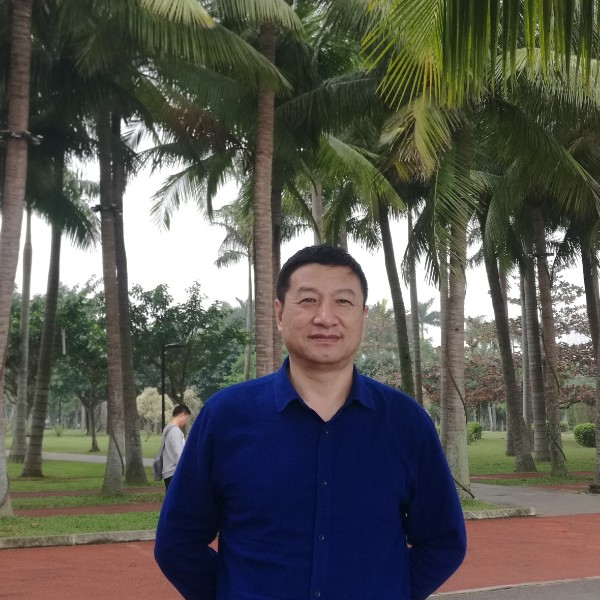 枫榕的照片