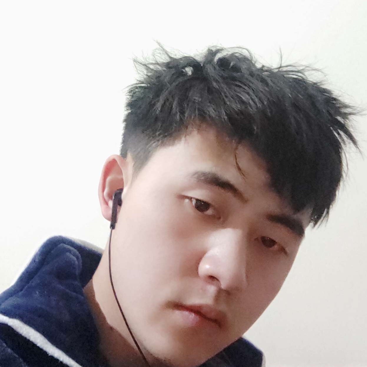 危机停止草丛的照片