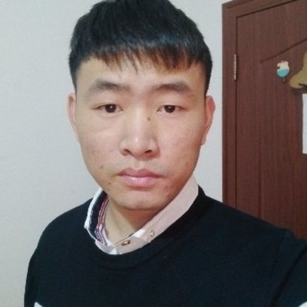 友好邂逅小海豚的照片