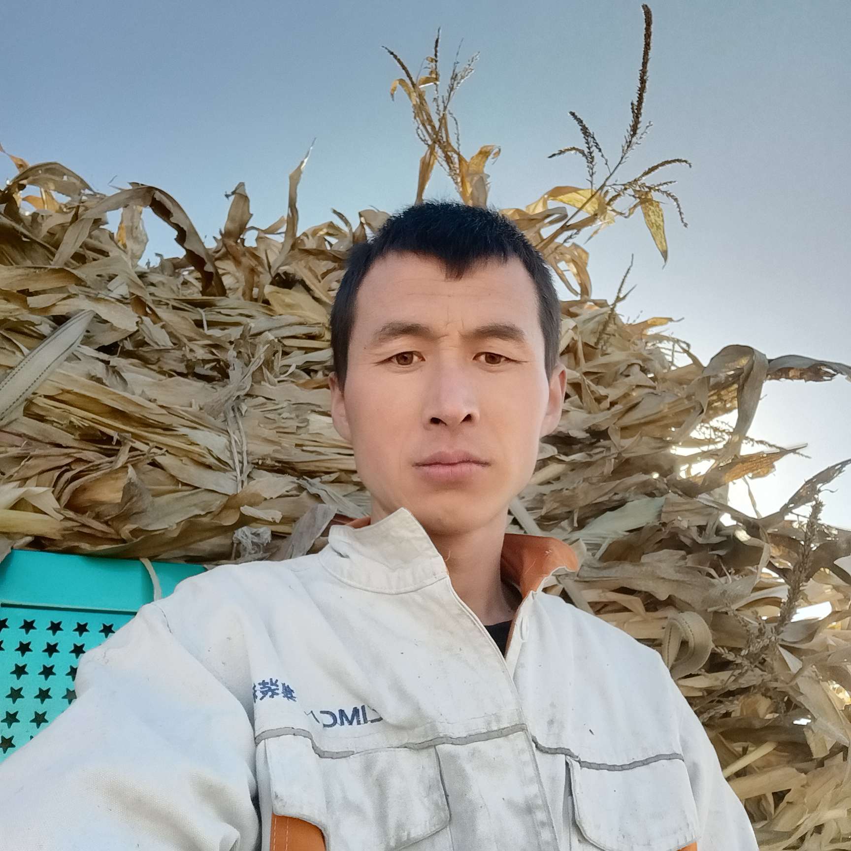 黑米邂逅可靠的照片