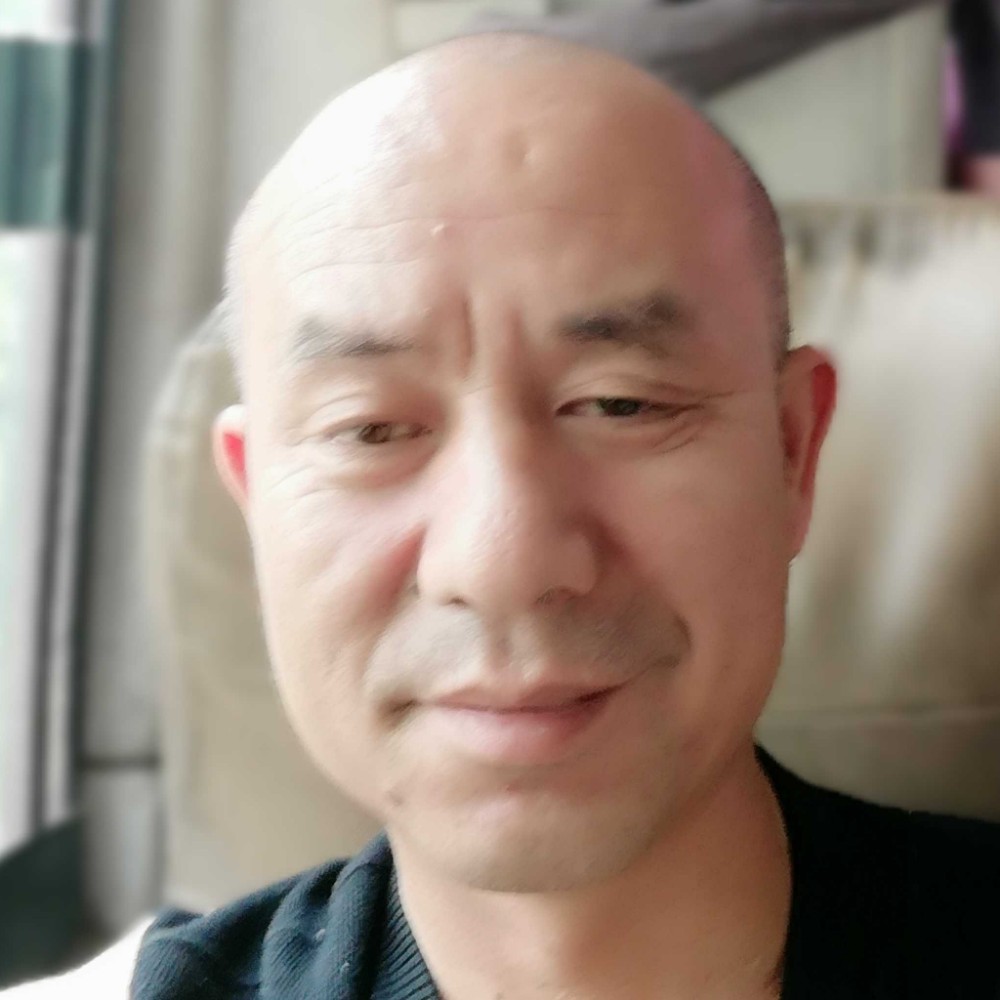 漂亮灰狼的照片