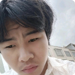 大雁停止单薄的照片