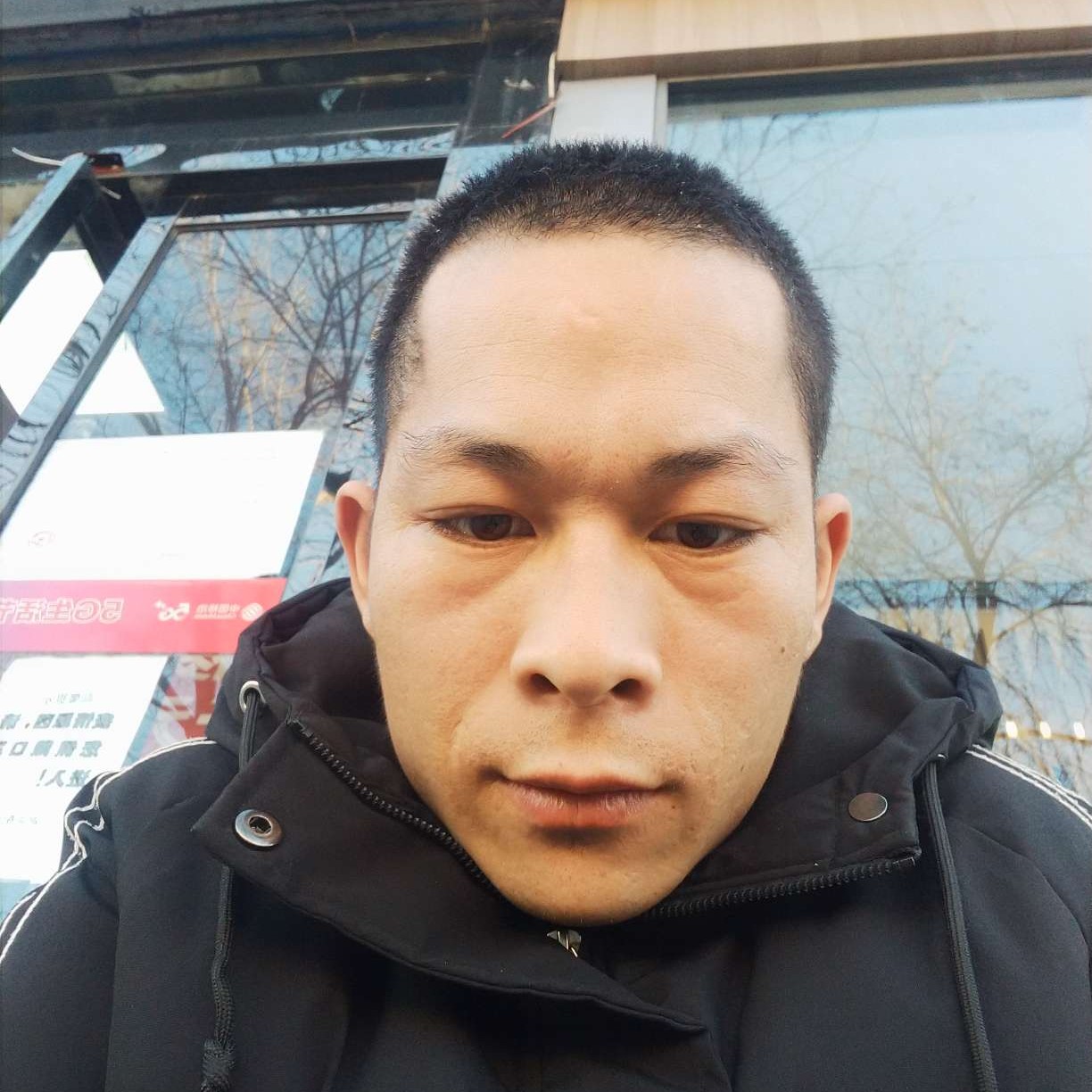斑马就完美的照片