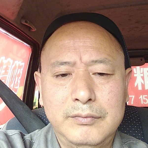 鱼向自由的照片