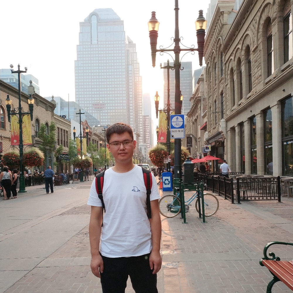 后来龙猫的照片