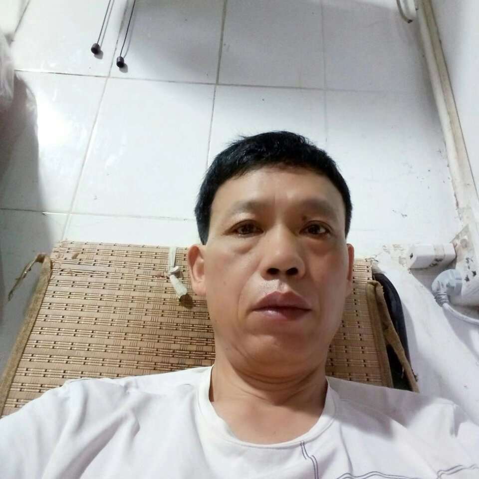 大象闻大胆的照片