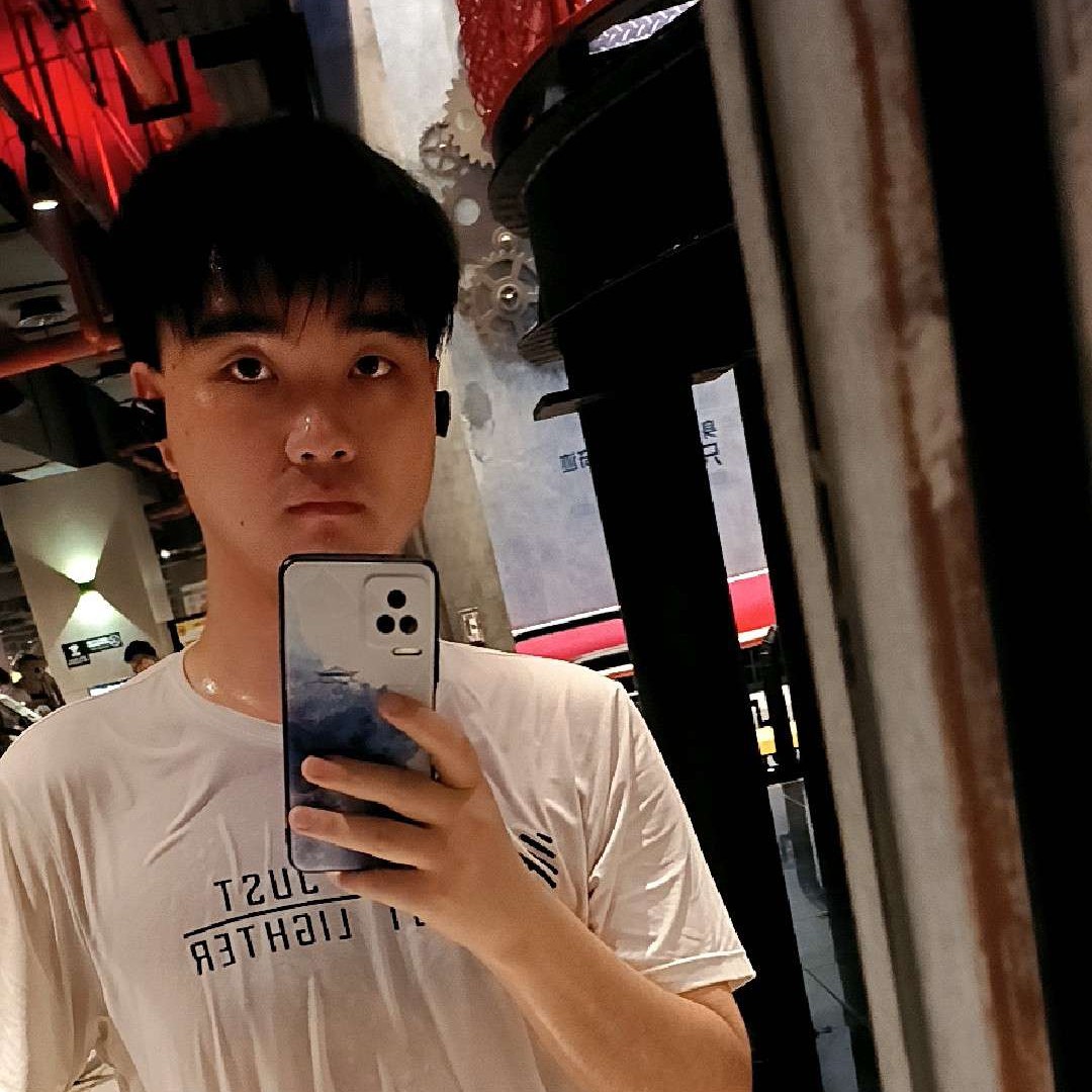 一只戏鲸的照片